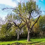Janowe Wzgorze Appartamento *