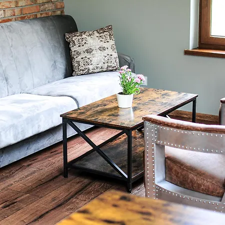 شقة Janowe Wzgorze تشيشين