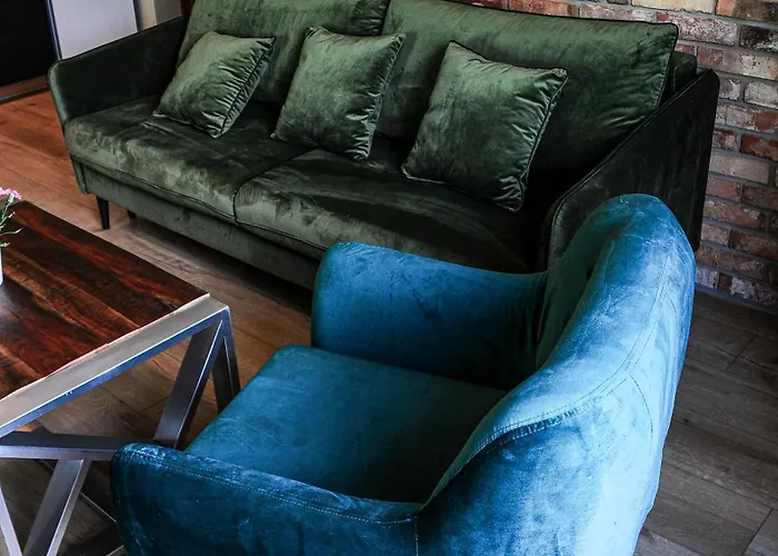 شقة Janowe Wzgorze تشيشين