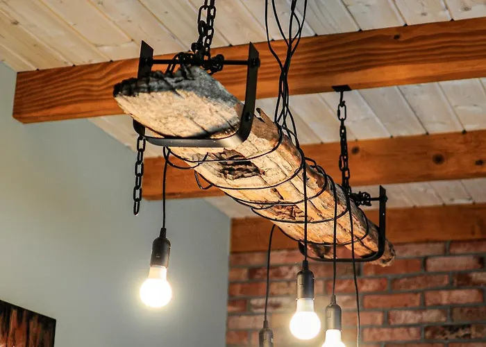 Janowe Wzgorze شقة تشيشين