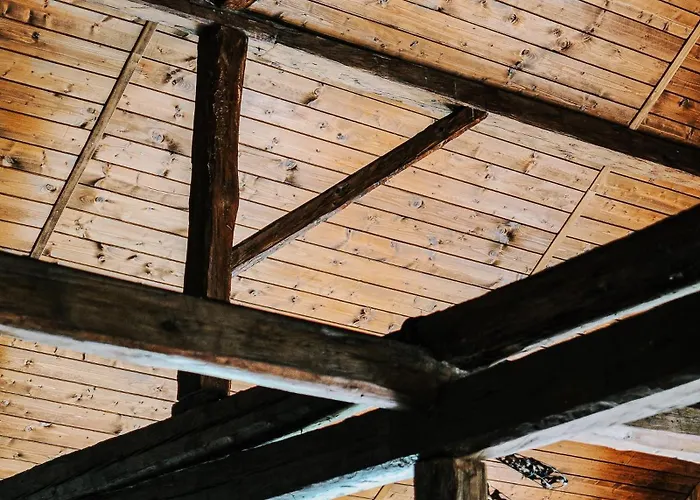 Janowe Wzgorze * تشيشين