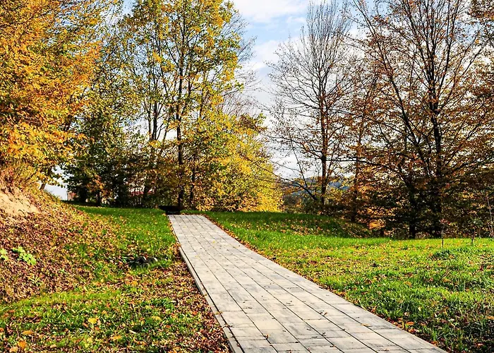 Janowe Wzgorze شقة تشيشين