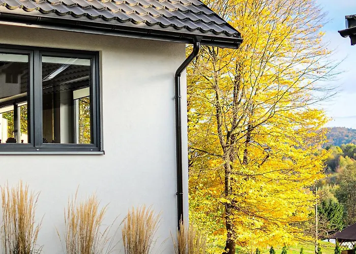 Janowe Wzgorze تشيشين