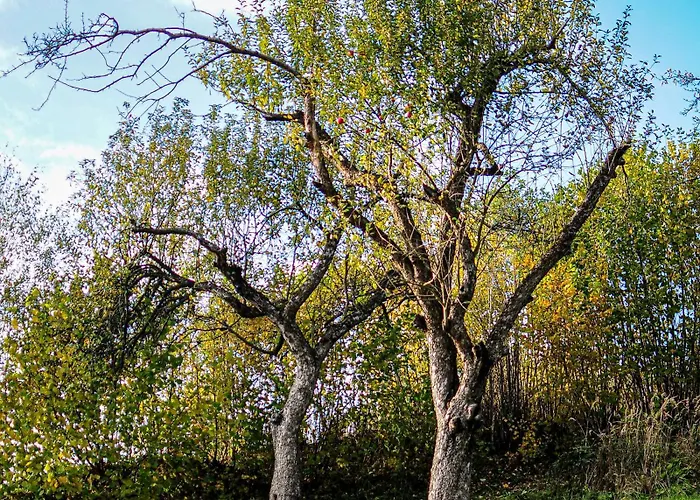 Janowe Wzgorze شقة *