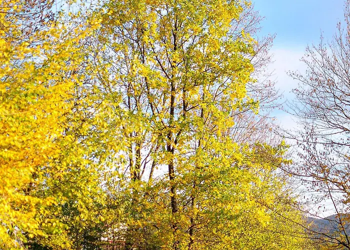 Апартаменты Janowe Wzgorze